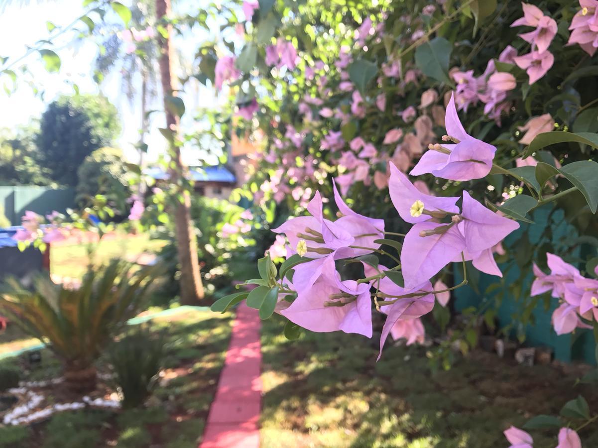 פוארטו איגואסו Hotel Amayal מראה חיצוני תמונה